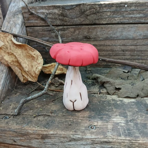 🧡🤎Mushroom Face 🥀🌸 Funny 🍄🟫🍄 - Picture 4 of 7